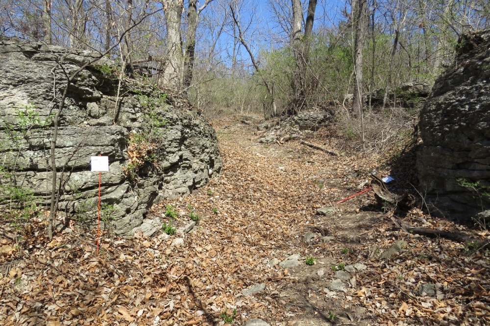 View of Historic Byram’s Ford Road passing through limestone outcroppings